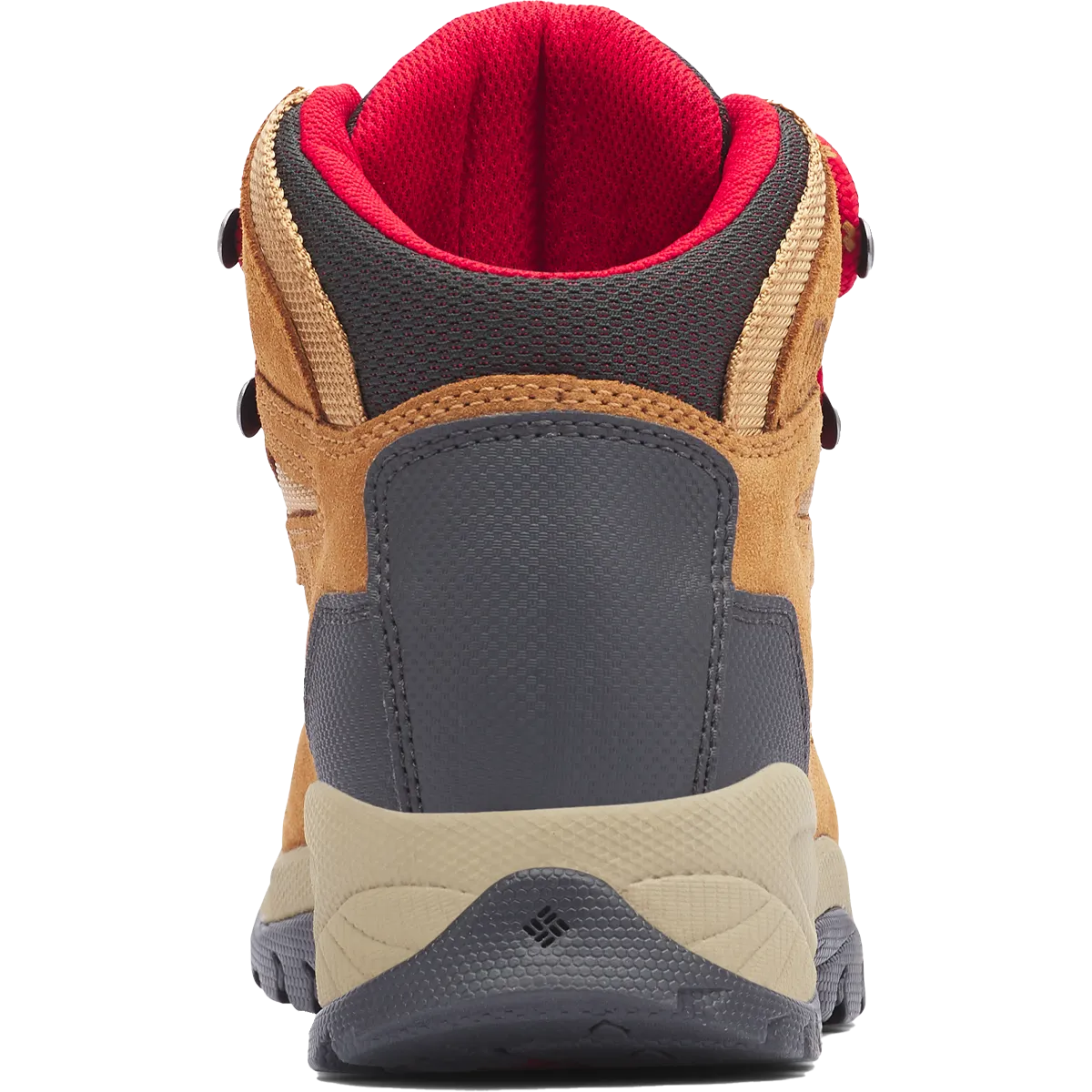 Women's Newton Ridge Plus Waterproof Amped - Wide